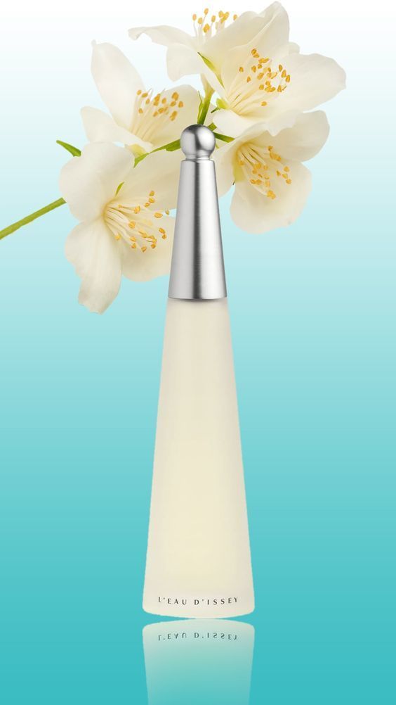 Los 12 Mejores Perfumes Femeninos 2023 - 8 - enero 15, 2023