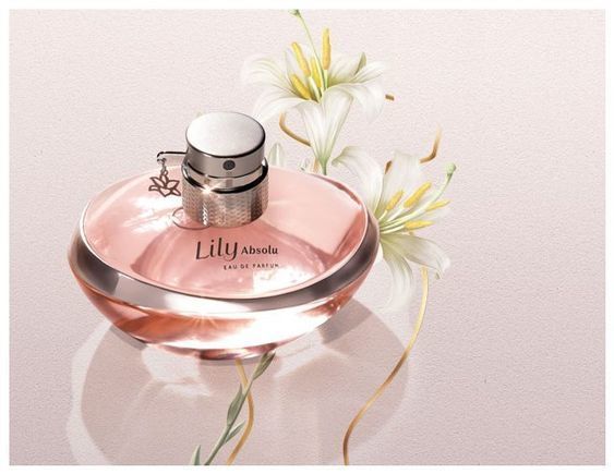 Los 12 Mejores Perfumes Femeninos 2023 - 22 - enero 15, 2023