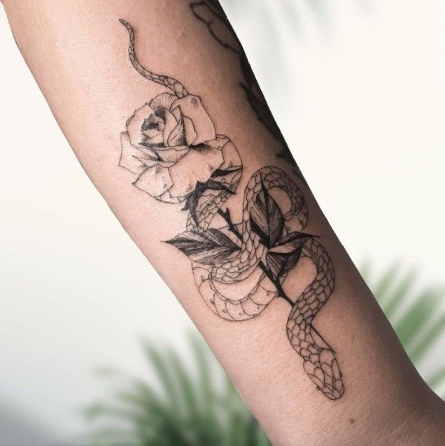 Mira las mejores opciones de tatuajes de serpiente para mujeres - 31 - enero 24, 2023