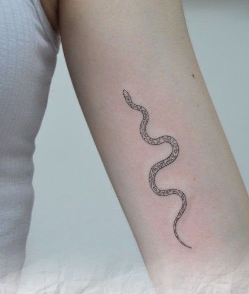Mira las mejores opciones de tatuajes de serpiente para mujeres - 41 - enero 24, 2023