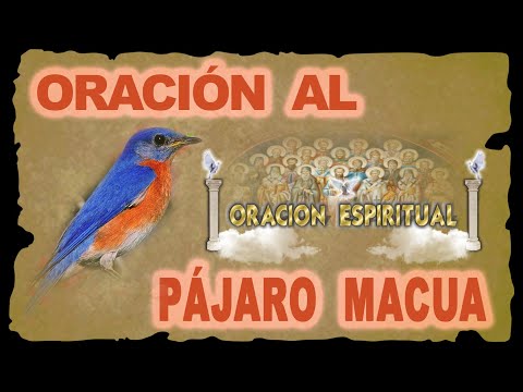 Oración del pájaro macua - 17 - abril 10, 2022