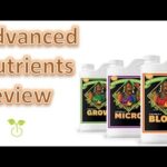 Do you use micro grow and bloom at the same time?