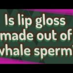 ¿El esperma de ballena está en el brillo de labios?