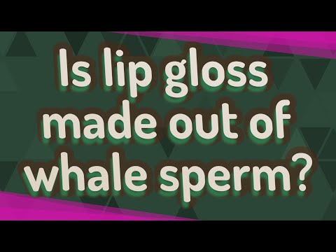 ¿El esperma de ballena está en el brillo de labios? - 3 - enero 30, 2022