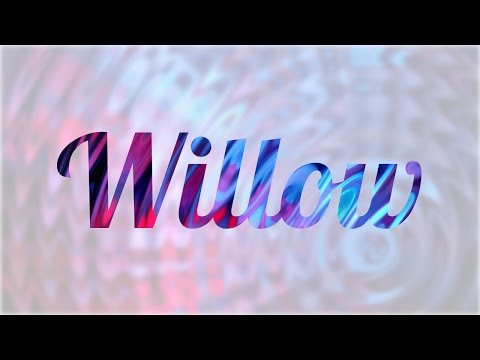 ¿Qué significa la palabra Willow? - 3 - enero 28, 2022