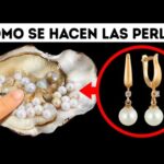 ¿Cuánto tarda una ostra en fabricar una perla?
