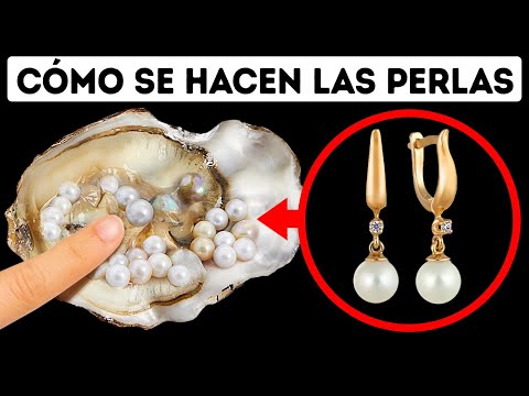 ¿Cuánto tarda una ostra en fabricar una perla? - 3 - enero 6, 2022