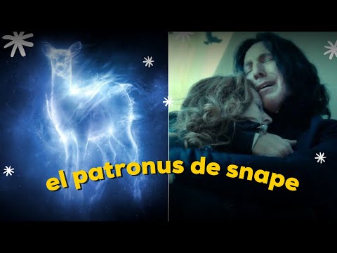 ¿Por qué Snape y Lily tienen el mismo patronus? - 3 - enero 1, 2022