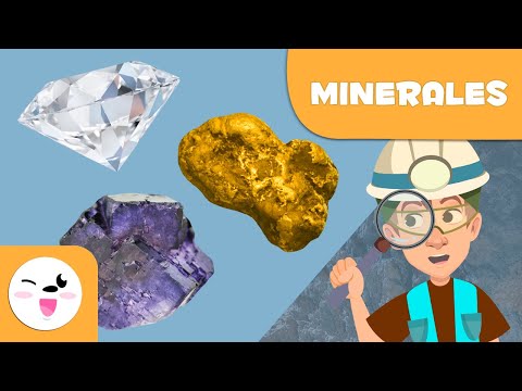 ¿Cómo se identifica el mineral perenne? - 13 - diciembre 27, 2021