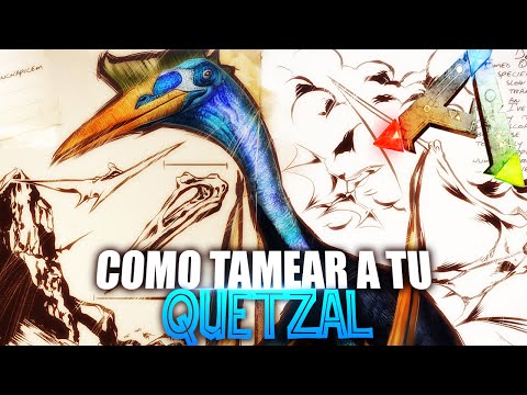 ¿Puedes domar un Quetzal Tek? - 3 - diciembre 22, 2021