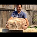 ¿Cómo se hacen las rocas falsas con cartón?