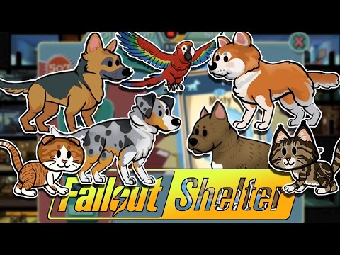 ¿Se pueden criar mascotas en el refugio de Fallout? - 3 - diciembre 20, 2021