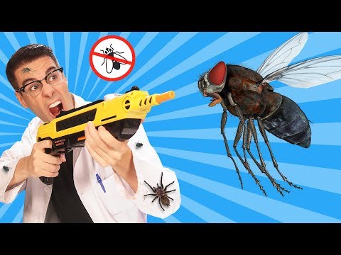 ¿Puede la sal matar a las arañas? - 3 - diciembre 9, 2021