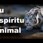 ¿Cuál es el espíritu animal de Libra?