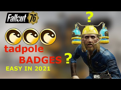 ¿Qué son las insignias Scout World Challenge? - 3 - noviembre 23, 2021