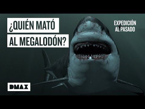 ¿Dónde se encuentran los Megalodones en el mar de los ladrones? - 3 - noviembre 21, 2021