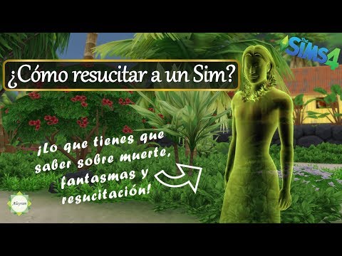 ¿Puedes devolver la vida a un Sim muerto Sims 4? - 3 - noviembre 18, 2021
