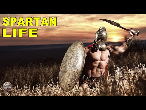 How tall was the average Spartan? - 3 - noviembre 16, 2021