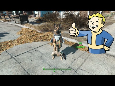 ¿Se puede adoptar un gato en Fallout 4? - 3 - noviembre 16, 2021