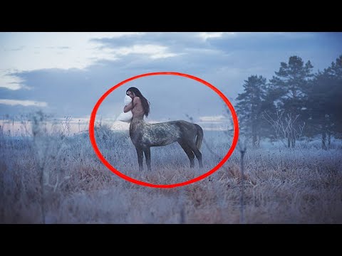 ¿Es medio humano medio caballo real? - 3 - noviembre 15, 2021
