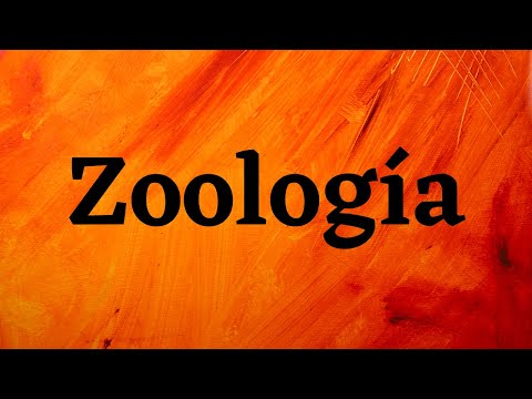Carrera de zoologia en argentina - 1 - mayo 25, 2022