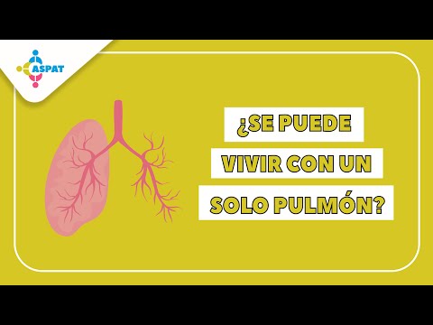Se puede vivir con un solo pulmon - 3 - mayo 18, 2022