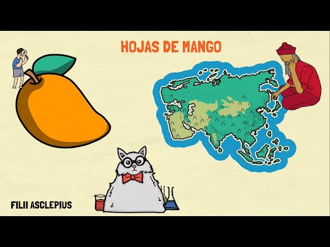 Agua de hoja de mango para desinflamar - 59 - mayo 18, 2022
