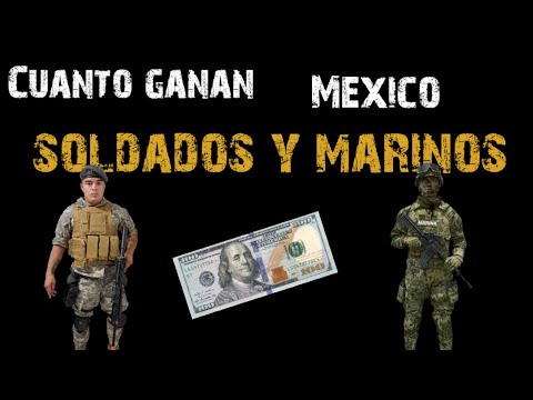 Cuánto gana un soldado del ejército mexicano - 11 - mayo 18, 2022
