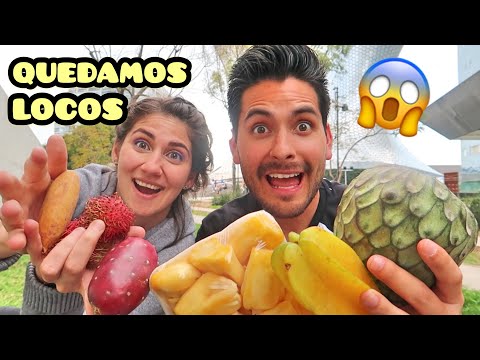 Frutas exoticas de mexico - 3 - mayo 9, 2022