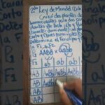 Primera generación filial