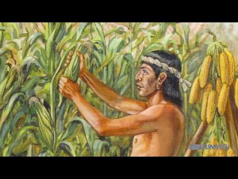 Como se dice maíz en náhuatl - 49 - mayo 6, 2022