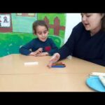 Irreversibilidad piaget