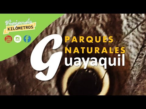 Patrimonios naturales de guayaquil - 21 - mayo 6, 2022