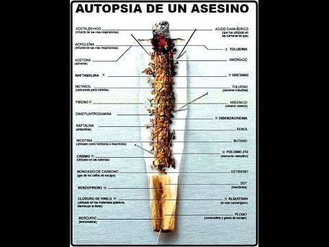 Cuantos gramos de tabaco tiene un cigarrillo - 43 - mayo 6, 2022