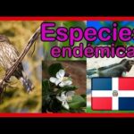 Animales endémicos de república dominicana