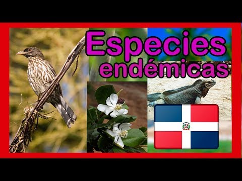 Animales endémicos de república dominicana - 3 - mayo 6, 2022