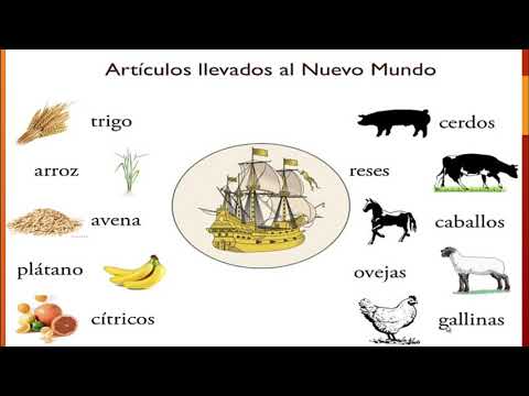 Son productos agrícolas que introdujeron los españoles en américa - 3 - mayo 6, 2022