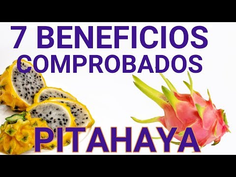 Que enfermedades cura la pitahaya - 13 - mayo 6, 2022