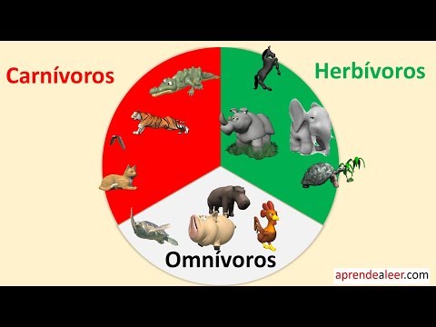 El venado es carnivoro herbivoro o omnivoro - 5 - mayo 2, 2022
