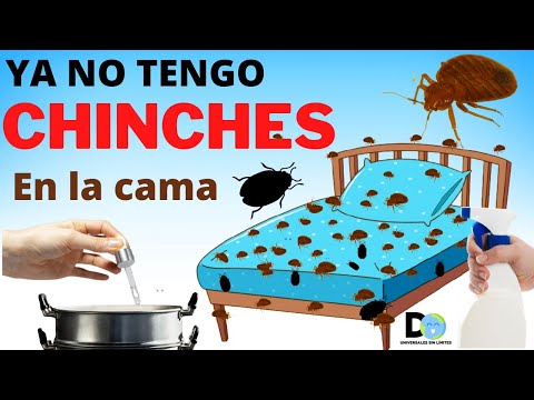 Que odian las chinches - 19 - mayo 2, 2022