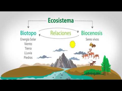 Qué seres vivos podrían constituir la biocenosis - 31 - mayo 2, 2022