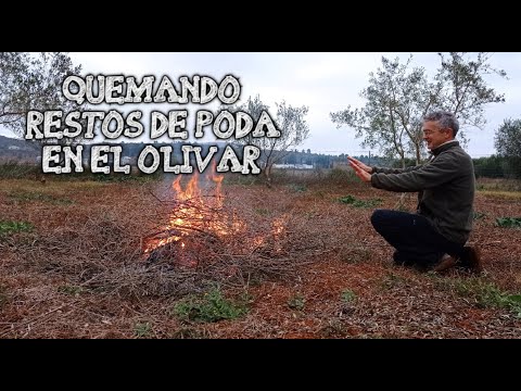 Cuando se puede quemar restos de poda en andalucía 2022 - 3 - mayo 2, 2022
