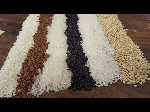 Tipos de arroz en argentina - 3 - mayo 2, 2022