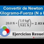 Convertir newton a kg