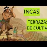 Cómo cultivaban las tierras los incas