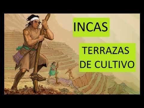 Cómo cultivaban las tierras los incas - 3 - abril 16, 2022
