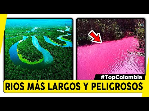 Cuál es el río más largo de colombia - 3 - abril 16, 2022