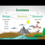 Diferencia entre biotopo y biocenosis