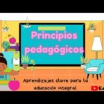 Principios pedagogicos de la nueva escuela mexicana