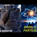 Caracteristicas del modelo de particulas